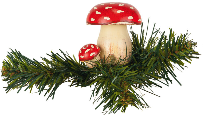 Hubrig Baumclipser Fliegenpilz Rarität – Bild 1