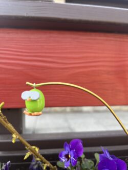 Steffi Walter Verrücktes Ei grün mit Brille