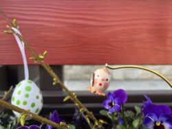 Steffi Walter Verrücktes Ei Krankes Ei