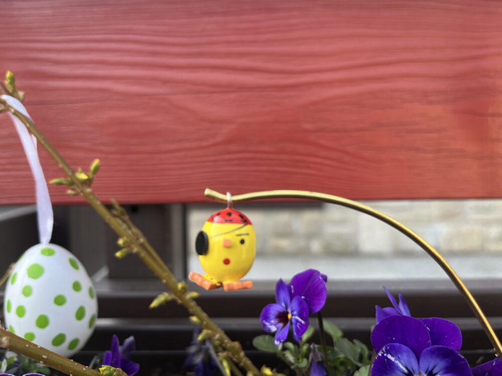 Steffi Walter Verrücktes Ei Pirat Steffi Walter Verrücktes Ei Pirat