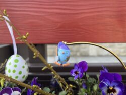 Steffi Walter Verrücktes Ei Gärtner Ei