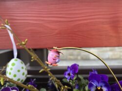 Steffi Walter Verrücktes Ei Tussi Ei