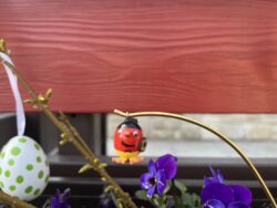 Steffi Walter Verrücktes Ei Fussball Ei