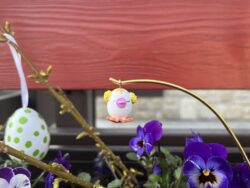 Steffi Walter Verrücktes Ei Baby Ei rosa