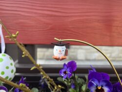 Steffi Walter Verrücktes Ei Gelehrtes Ei